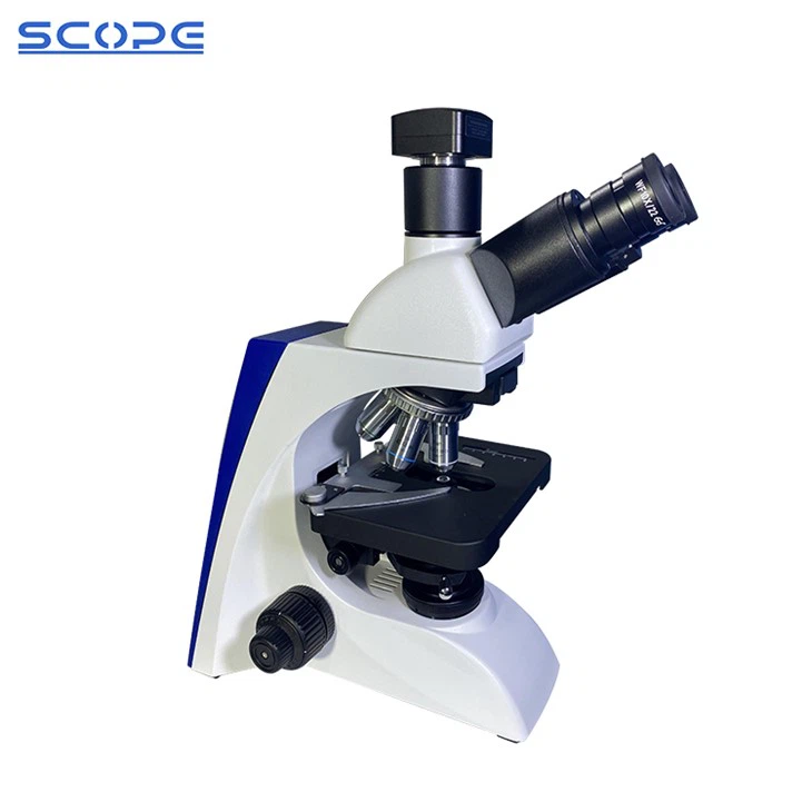 BK series phase contrast biological microscope with camera