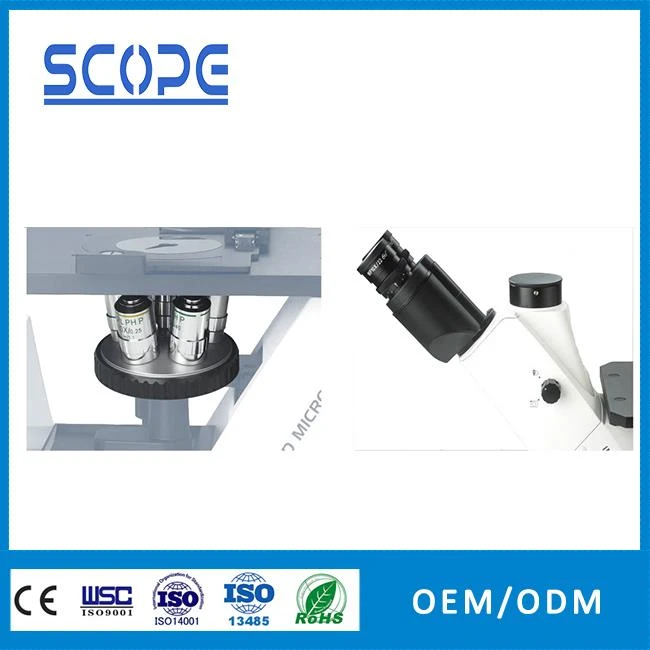 professional inverted biological cells microscope